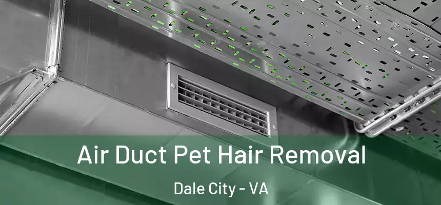  Air Duct Pet Hair Removal Dale City - VA