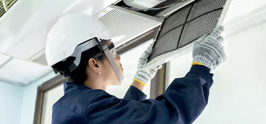 Our Mold & Mildew Removal from Air Ducts Services in Dale City, VA