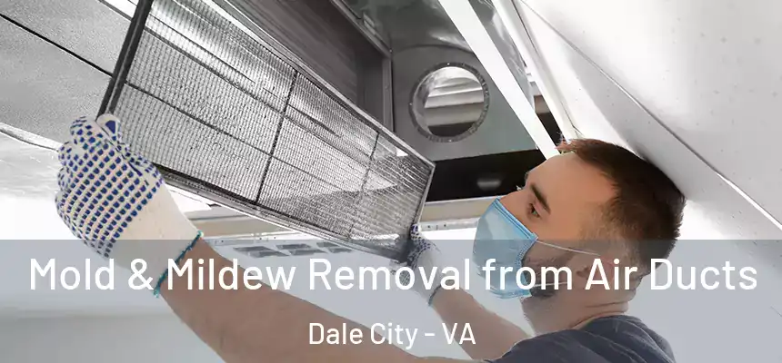 Mold & Mildew Removal from Air Ducts Dale City - VA