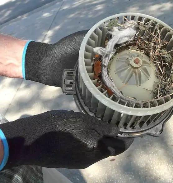 About Air Duct Mice Removal in Dale City, VA