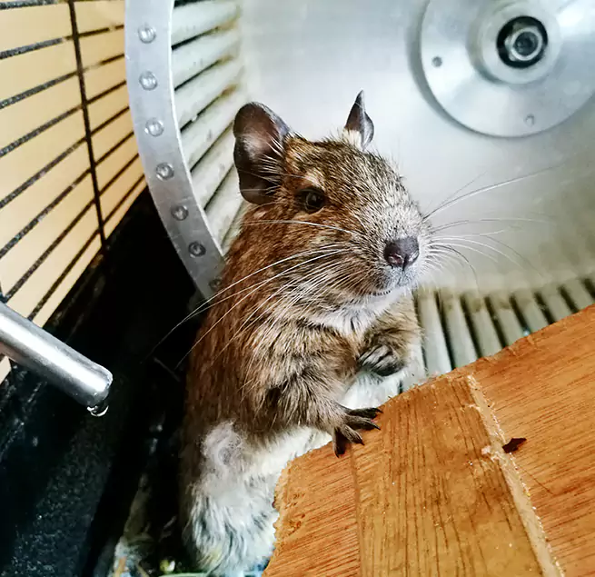 Why Homeowners & Businesses Trust Us Dale City, VA